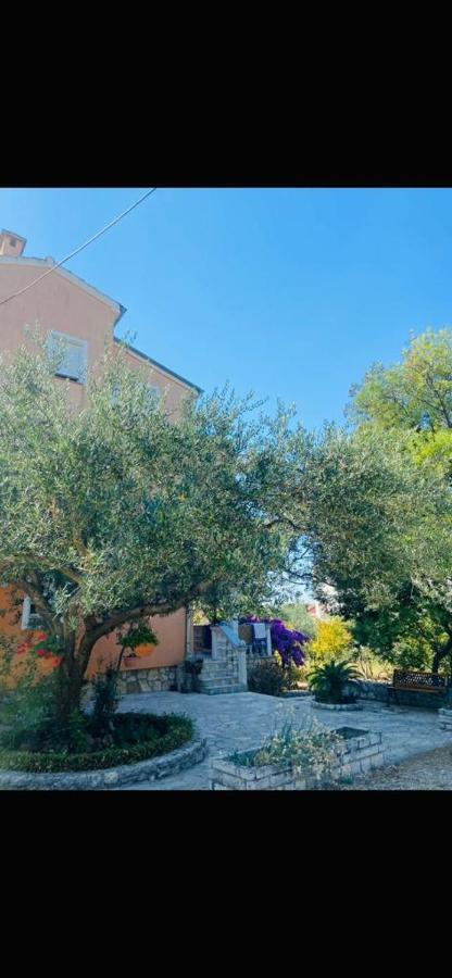 Apartman Nauplie ザダル エクステリア 写真